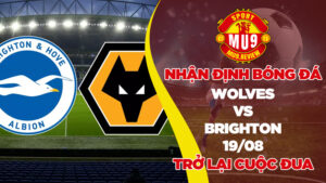 Nhận định trận đấu 19/08 giữa Wolves vs Brighton 